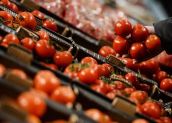 أسعار الخضروات الطازجة في الأسواق اليوم الأربعاء 26 نوفمبر 2025