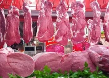 أسعار اللحوم في السوق المحلي اليوم الثلاثاء 11 نوفمبر 2025