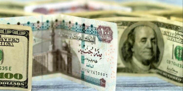 أسعار الدولار في البنوك المصرية اليوم الأحد 16 نوفمبر 2025 1 أسعار الدولار في البنوك المصرية اليوم الأحد 16 نوفمبر 2025