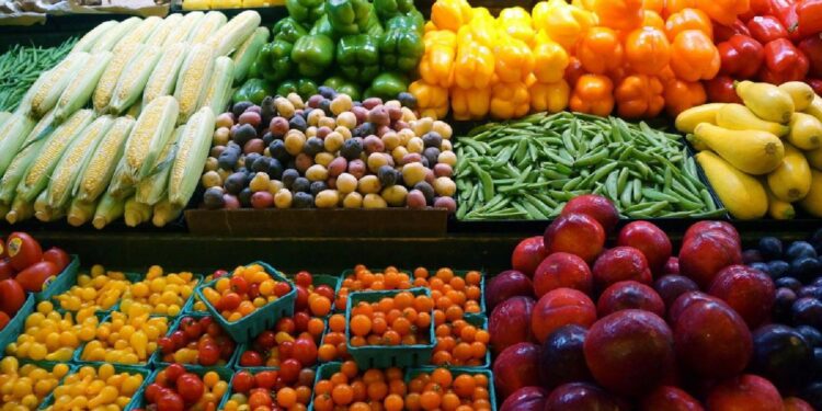 أسعار الخضار والفواكه اليوم السبت 8 نوفمبر 2025.. الطماطم بسعر 10 جنيهات 1 أسعار الخضار والفواكه اليوم السبت 8 نوفمبر 2025.. الطماطم بسعر 10 جنيهات