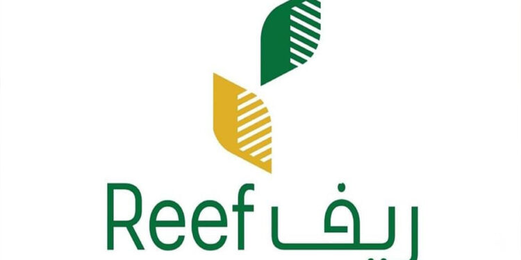 التسجيل على دعم ريف 2025 للعاطلين والمتقاعدين: خطوات التقديم والشروط 1 التسجيل على دعم ريف 2025