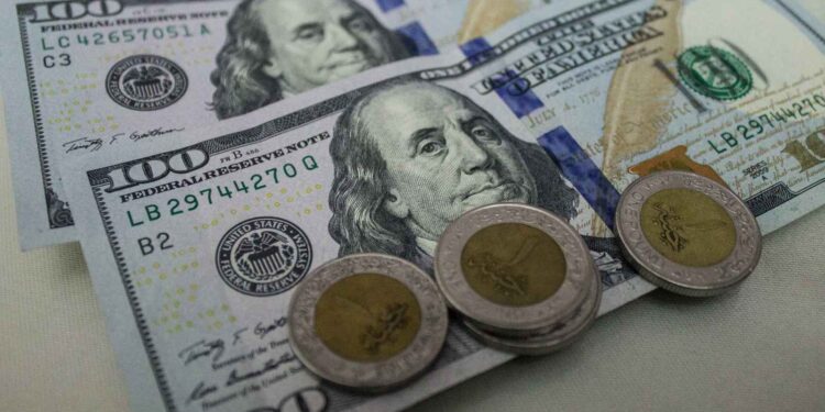 الدولار أمام الجنيه مع بداية تعاملات اليوم الاثنين 15 ديسمبر 2025 1 الدولار أمام الجنيه مع بداية تعاملات اليوم الاثنين 15 ديسمبر 2025