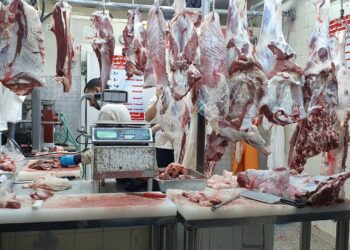 سوق اللحمة اليوم الثلاثاء 16 ديسمبر 2025.. البتلو يسجل 412 جنيهًا للكيلو 3 سوق اللحمة اليوم الثلاثاء 16 ديسمبر 2025.. البتلو يسجل 412 جنيهًا للكيلو