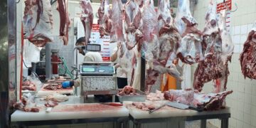 سوق اللحمة اليوم الثلاثاء 16 ديسمبر 2025.. البتلو يسجل 412 جنيهًا للكيلو 11 سوق اللحمة اليوم الثلاثاء 16 ديسمبر 2025.. البتلو يسجل 412 جنيهًا للكيلو