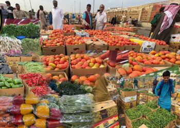 سوق الخضروات اليوم الثلاثاء 16 ديسمبر 2025 .. آخر أسعار البطاطس 2 سوق الخضروات اليوم الثلاثاء 16 ديسمبر 2025 .. آخر أسعار البطاطس