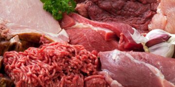 سعر اللحوم اليوم الأحد 7 ديسمبر 2025.. الضاني يسجل 450 جنيهًا 11 سعر اللحوم اليوم الأحد 7 ديسمبر 2025.. الضاني يسجل 450 جنيهًا