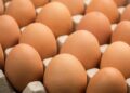 أسعار البيض المحلي والمستورَد اليوم الاثنين 15 ديسمبر 2025