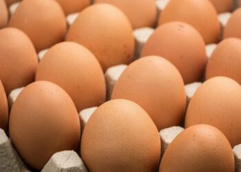 أسعار البيض المحلي والمستورَد اليوم الاثنين 15 ديسمبر 2025 2 أسعار البيض المحلي والمستورَد اليوم الاثنين 15 ديسمبر 2025