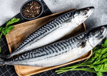 أسعار السمك والمأكولات البحرية اليوم الأحد 21 ديسمبر 2025 في الأسواق