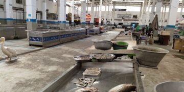 سوق السمك اليوم الثلاثاء 9 ديسمبر 2025.. أسعار البوري والجمبري والأنواع الأخرى 11 سوق السمك اليوم الثلاثاء 9 ديسمبر 2025.. أسعار البوري والجمبري والأنواع الأخرى