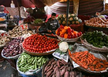 أسعار الخضار اليوم.. البطاطس بـ 12.98 جنيه الأربعاء 17 ديسمبر