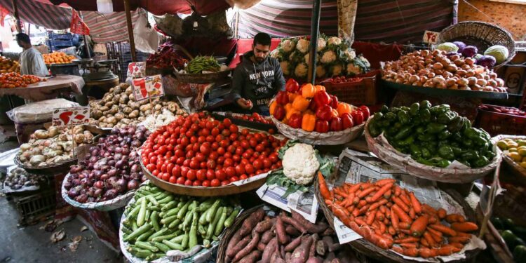 أسعار الخضار اليوم.. البطاطس بـ 12.98 جنيه الأربعاء 17 ديسمبر