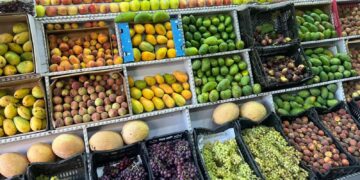 أسعار الفاكهة والموز اليوم الأحد 21 ديسمبر 2025 في الأسواق