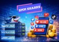 أرخص سيرفر تزويد متابعين Smm Sharks – الحل الذكي لنمو حساباتك 11 Smm Sharks