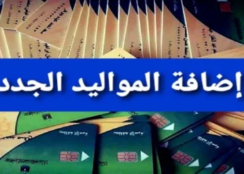 تعرف علي شروط إضافة المواليد على بطاقات التموين 2025 و المستندات اللازمه 2 شروط إضافة المواليد على بطاقات التموين