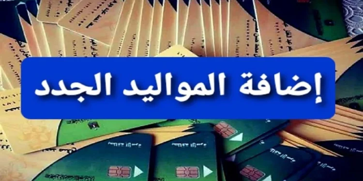 شروط إضافة المواليد على بطاقات التموين