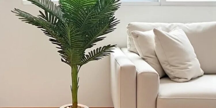 شجر صناعي فخم يضيف جمالاً حقيقياً لمساحتك: دليلك لاختيار الأفضل من متجر ليفورا 1 شجر صناعي