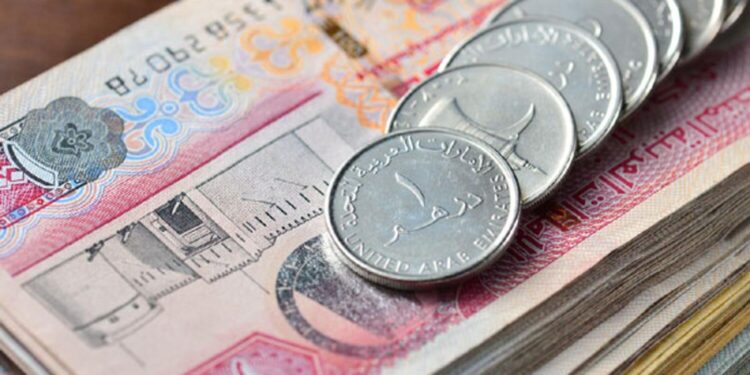 سعر صرف الدرهم الإماراتي مقابل الجنيه المصري – اليوم 18 يناير 2026