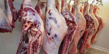 أسعار اللحوم البلدي والمستوردة اليوم الأربعاء 14 يناير 2026