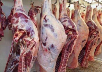 اللحوم البلدي والمستوردة اليوم.. أحدث الأسعار الأربعاء 7 يناير 2026 3 اللحوم البلدي والمستوردة اليوم.. أحدث الأسعار الأربعاء 7 يناير 2026