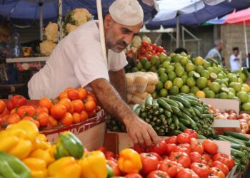 أسعار الخضار والفاكهة الآن في الأسواق 27 يناير 2026