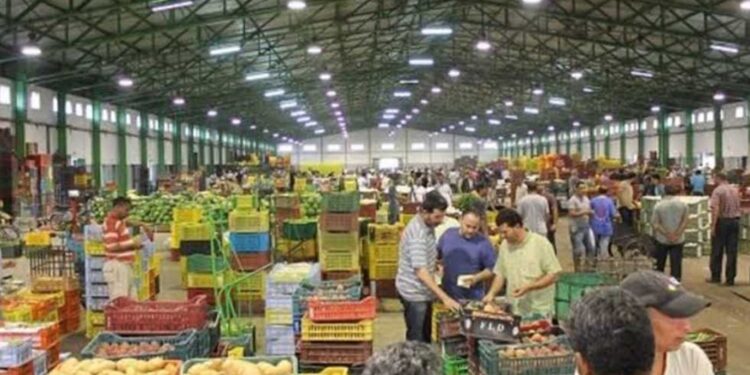 أسعار الخضروات في الأسواق اليوم الخميس 15 يناير 2026