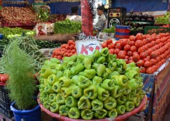 أسعار الخضروات الطازجة اليوم الثلاثاء 20 يناير 2026