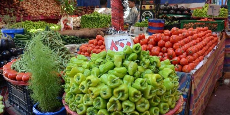 أسعار الخضروات الطازجة اليوم الثلاثاء 20 يناير 2026