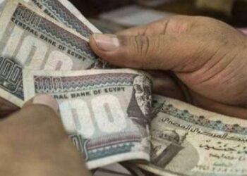 برنامج تكافل وكرامة موعد صرف فبراير 2026 وخطوات الاستعلام بالرقم القومي