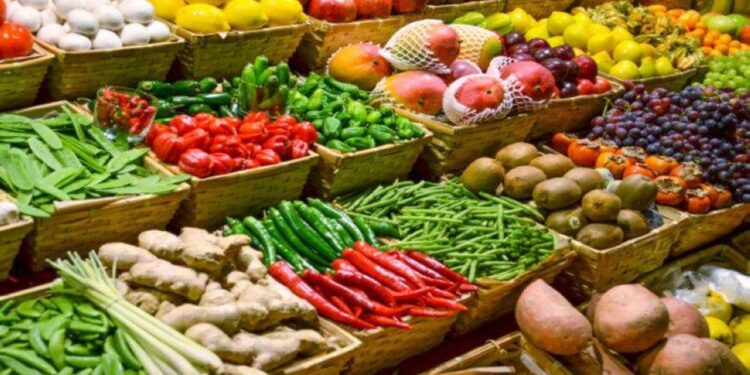 أسعار الخضار والفاكهة اليوم السبت في مصر 2026.. تفاوت ملحوظ في الأسواق 1 أسعار الخضار والفاكهة اليوم السبت في مصر 2026.. تفاوت ملحوظ في الأسواق