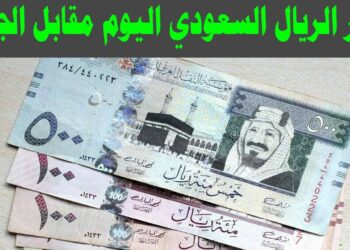 سعر الريال السعودي اليوم الأربعاء في مصر.. استقرار ملحوظ داخل البنوك 2 سعر الريال السعودي اليوم الأربعاء في مصر.. استقرار ملحوظ داخل البنوك