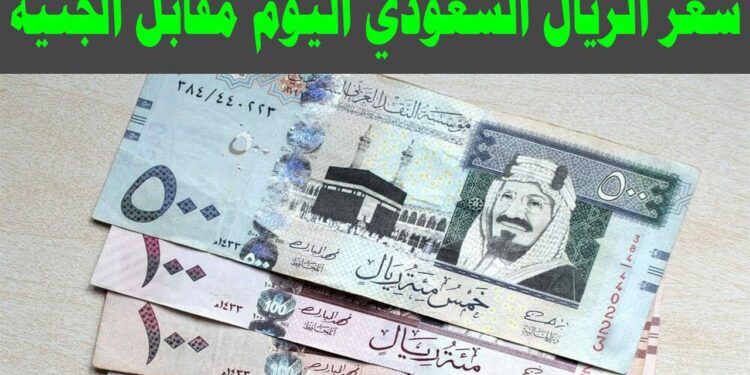 سعر الريال السعودي اليوم الأربعاء في مصر.. استقرار ملحوظ داخل البنوك