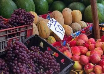 أسعار الخضار والفاكهة اليوم الأحد في مصر.. تباين ملحوظ واستقرار نسبي في الأسواق 2 أسعار الخضار والفاكهة اليوم الأحد في مصر.. تباين ملحوظ واستقرار نسبي في الأسواق