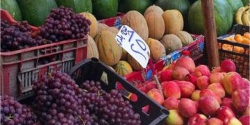 أسعار الخضار والفاكهة اليوم الأحد في مصر.. تباين ملحوظ واستقرار نسبي في الأسواق 11 أسعار الخضار والفاكهة اليوم الأحد في مصر.. تباين ملحوظ واستقرار نسبي في الأسواق